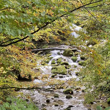 Appartement Berg & Tal Oberstaufen